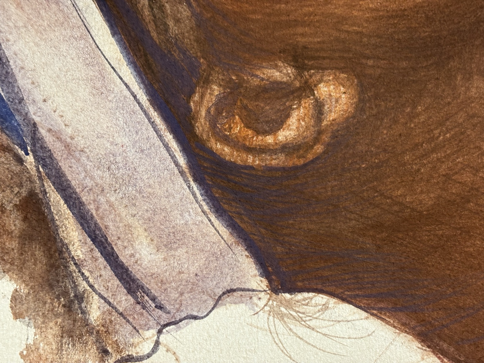 Dettaglio ravvicinato di un disegno di profilo